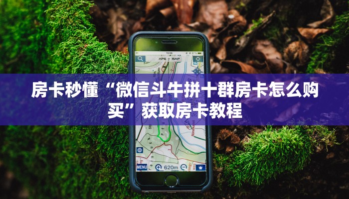 必备“女娲大厅微信群牛牛从哪买房卡”牛牛金花自建房模式! 必备“女娲大厅微信群牛牛从哪买房卡”牛牛金花自建房模式!