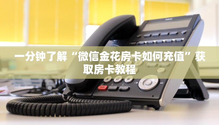 一分钟攻略“双喜大厅房卡怎么弄”金花自建房模式！