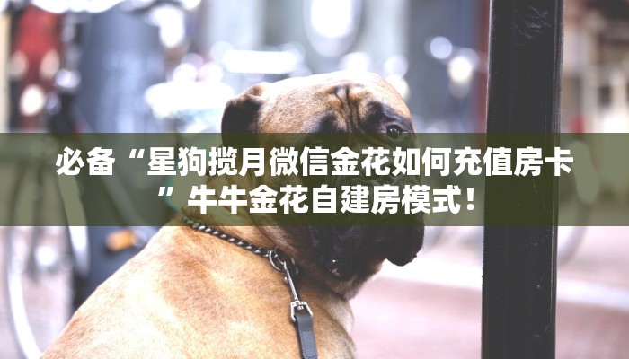 实测教程分享“微信平台牛牛怎么购买房卡”斗牛自建房模式！