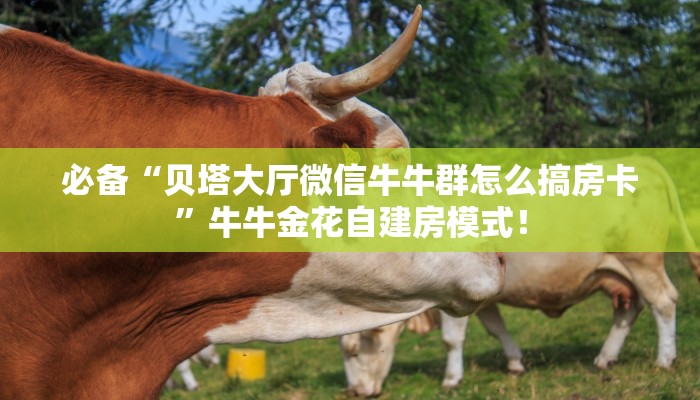 【教程经验】“微信平台拼三张金花哪里充值房卡”大厅自建房模式! 【教程经验】“微信平台拼三张金花哪里充值房卡”大厅自建房模式!