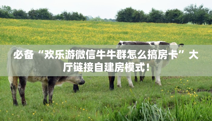 居家必备“新版大圣微信金花群怎么弄房卡”大厅自建房模式！