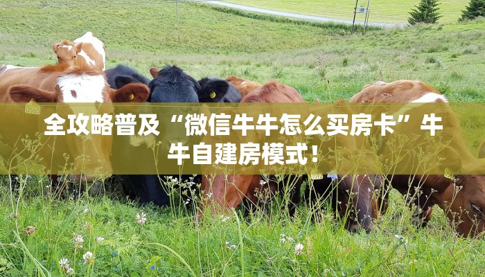 居家必备“东游金花房卡微信购买方法链接谁有”大厅自建房模式! 居家必备“东游金花房卡微信购买方法链接谁有”大厅自建房模式!