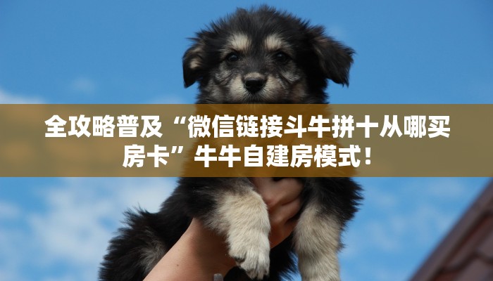 居家必备“拼三张金花客服联系方式房卡”炸金花自建房模式! 居家必备“拼三张金花客服联系方式房卡”炸金花自建房模式!