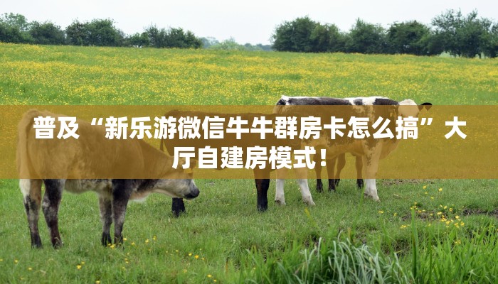 【8分钟科普下】“新九天大厅如何充值房卡”牛牛自建房模式! 【8分钟科普下】“新九天大厅如何充值房卡”牛牛自建房模式!