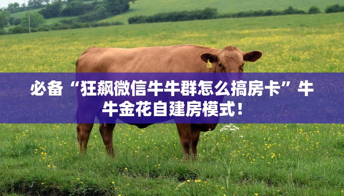 【8分钟科普下】“嫦娥大厅大厅房卡从哪里买”牛牛自建房模式！