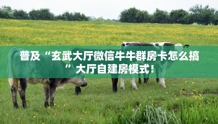 全攻略普及“微信平台斗牛如何充值房卡”牛牛自建房模式! 全攻略普及“微信平台斗牛如何充值房卡”牛牛自建房模式!