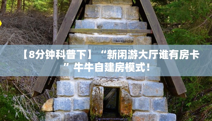 居家必备“乐游联盟微信大厅链接金花怎么充值房卡”大厅自建房模式! 居家必备“乐游联盟微信大厅链接金花怎么充值房卡”大厅自建房模式!