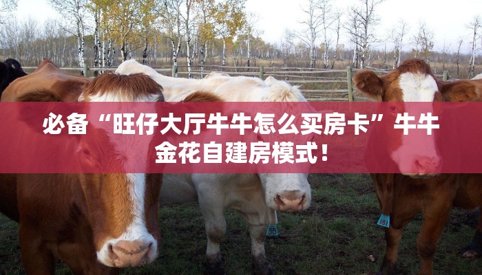 【8分钟科普下】“久久大厅大厅房卡哪里充值”牛牛自建房模式！