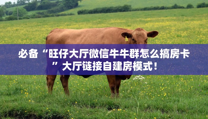 必备“麒麟大厅微信大厅链接牛牛哪里购买房卡”大厅链接自建房模式! 必备“麒麟大厅微信大厅链接牛牛哪里购买房卡”大厅链接自建房模式!