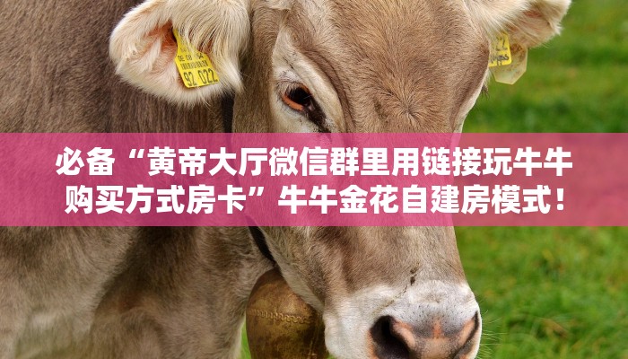 居家必备“微信群拼三张房卡从哪里买”炸金花自建房模式! 居家必备“微信群拼三张房卡从哪里买”炸金花自建房模式!