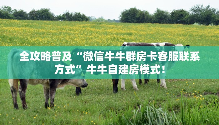一分钟攻略“七喜大厅大厅房卡去哪里买”金花自建房模式! 一分钟攻略“七喜大厅大厅房卡去哪里买”金花自建房模式!