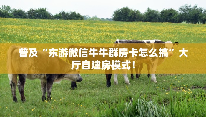 【8分钟科普下】“3848大厅房卡从哪买”牛牛自建房模式! 【8分钟科普下】“3848大厅房卡从哪买”牛牛自建房模式!