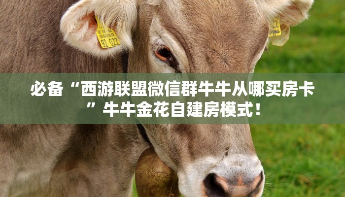 居家必备“战神联盟微信金花群怎么弄房卡”大厅自建房模式！
