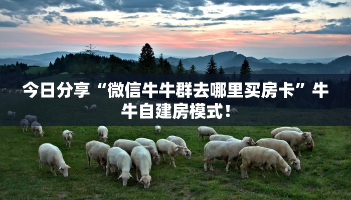 居家必备“趣游联盟微信平台牛牛从哪里买房卡”大厅自建房模式！