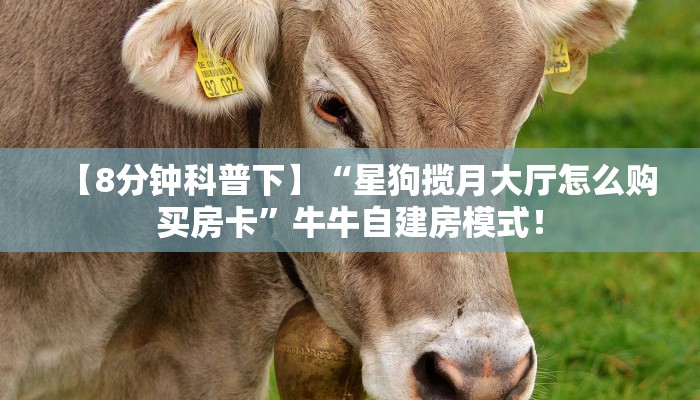 【8分钟科普下】“星狗揽月大厅怎么购买房卡”牛牛自建房模式! 【8分钟科普下】“星狗揽月大厅怎么购买房卡”牛牛自建房模式!