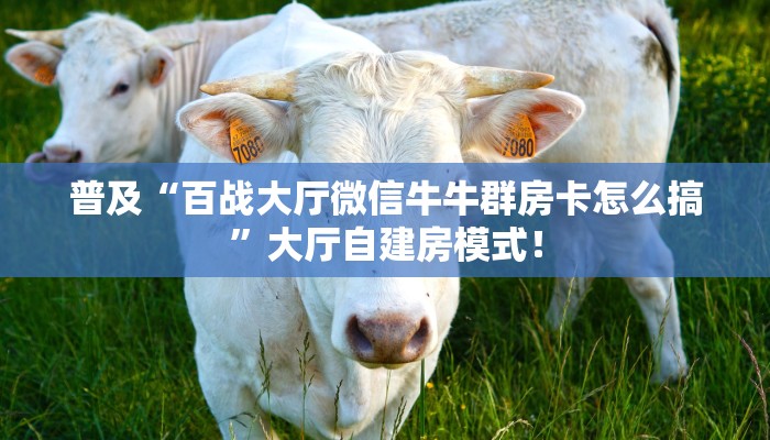 普及“百战大厅微信牛牛群房卡怎么搞”大厅自建房模式！