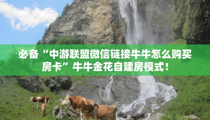 必备“中游联盟微信链接牛牛怎么购买房卡”牛牛金花自建房模式！