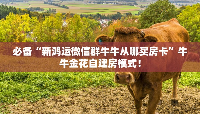 必备“新鸿运微信群牛牛从哪买房卡”牛牛金花自建房模式！