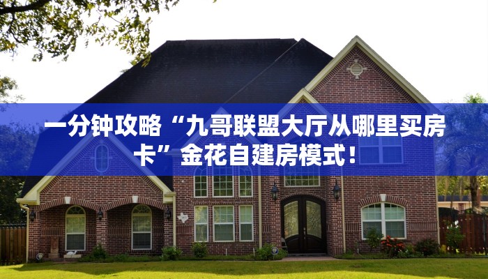 一分钟攻略“九哥联盟大厅从哪里买房卡”金花自建房模式！