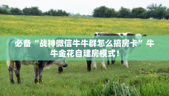 必备“新全游微信链接牛牛怎么购买房卡”牛牛金花自建房模式！