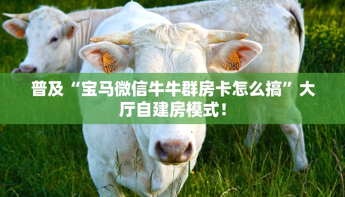 普及“宝马微信牛牛群房卡怎么搞”大厅自建房模式! 普及“宝马微信牛牛群房卡怎么搞”大厅自建房模式!