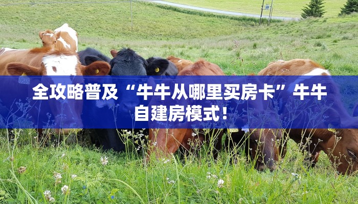 全攻略普及“牛牛从哪里买房卡”牛牛自建房模式! 全攻略普及“牛牛从哪里买房卡”牛牛自建房模式!
