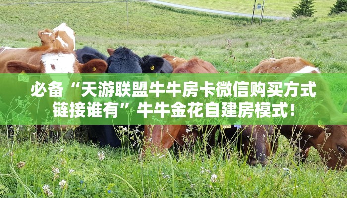 必备“天游联盟牛牛房卡微信购买方式链接谁有”牛牛金花自建房模式！
