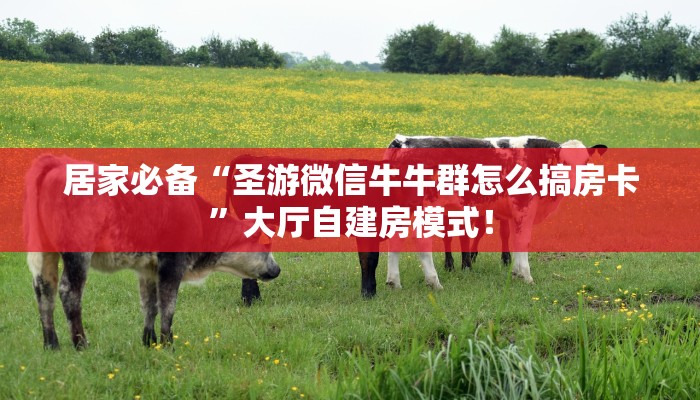居家必备“圣游微信牛牛群怎么搞房卡”大厅自建房模式! 居家必备“圣游微信牛牛群怎么搞房卡”大厅自建房模式!