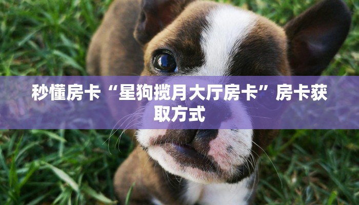 秒懂房卡“星狗揽月大厅房卡”房卡获取方式 秒懂房卡“星狗揽月大厅房卡”房卡获取方式