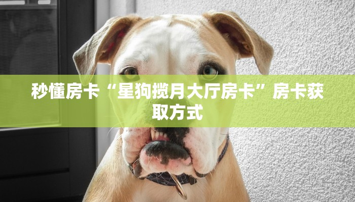 秒懂房卡“星狗揽月大厅房卡”房卡获取方式 秒懂房卡“星狗揽月大厅房卡”房卡获取方式