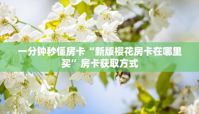 一分钟秒懂房卡“新版樱花房卡在哪里买”房卡获取方式