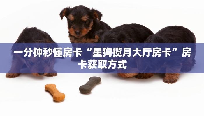 一分钟秒懂房卡“星狗揽月大厅房卡”房卡获取方式