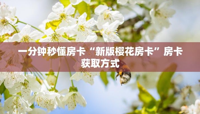 一分钟秒懂房卡“新版樱花房卡”房卡获取方式