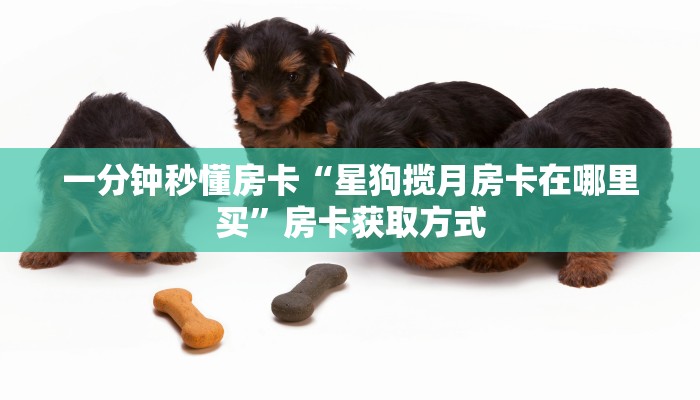 一分钟秒懂房卡“星狗揽月房卡在哪里买”房卡获取方式