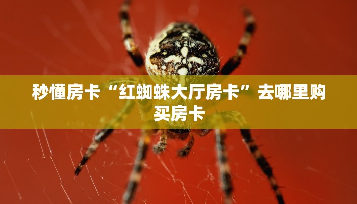 秒懂房卡“红蜘蛛大厅房卡”去哪里购买房卡 秒懂房卡“红蜘蛛大厅房卡”去哪里购买房卡