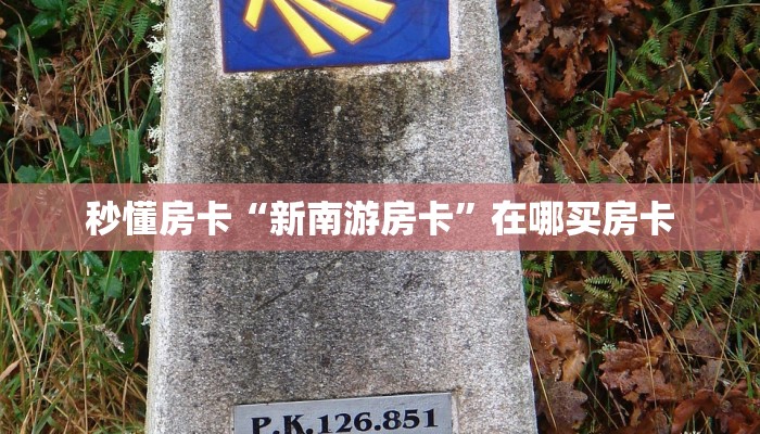 秒懂房卡“新南游房卡”在哪买房卡 秒懂房卡“新南游房卡”在哪买房卡