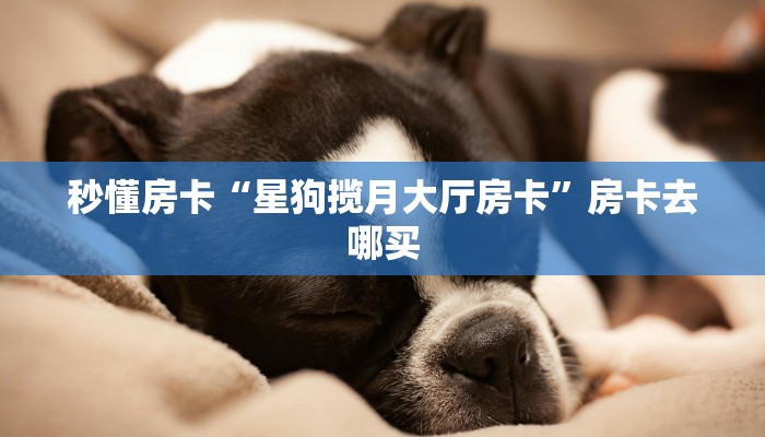 秒懂房卡“星狗揽月大厅房卡”房卡去哪买 秒懂房卡“星狗揽月大厅房卡”房卡去哪买