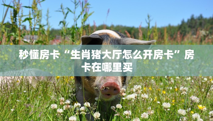 秒懂房卡“生肖猪大厅怎么开房卡”房卡在哪里买 秒懂房卡“生肖猪大厅怎么开房卡”房卡在哪里买
